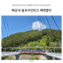 달맞이샌드 | 해운대 블루라인파크 해변열차 청사포역 아이와 탑승후기