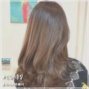 하이피네일 | [또디 헤어] 신림미용실 N 년째 단골 헤어샵 '하이피피헤어'에서 스타일 전환하기