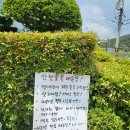 산천초목 | 원주맛집 산천초목 매운탕 소금산 출렁다리 내돈내산 찐맛집