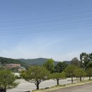 CC당구클럽 | [충청/아산] 충청도 파3 추천 아산 CC | 3인 파쓰리 내돈내산