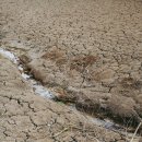 하이라이트 피트니스 이미지