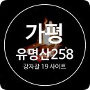 258 | 가평 유명산258 캠핑장 강자갈 19 가을 끝자락 다녀온 올 해 마지막 캠핑
