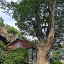 대성암 갈림길 이미지