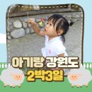 강릉썬다육 | 아기랑 갈만한곳 가볼만한곳 17개월 돌아기랑 강원도2박3일여행코스 강릉, 속초, 고성 맛집 카페 숙소