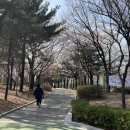 대촌공원 이미지