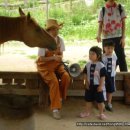 은아목장 이미지