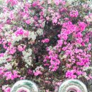 명곡한의원 이미지