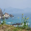 남해-282 티스토리