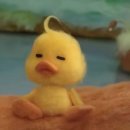 티엠아이 이미지