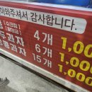월드붕어 이미지