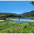 파천면사무소 이미지