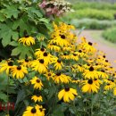 목련공원 족구장 이미지