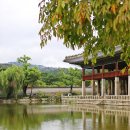 쉽게 배우는 DSLR 카메라 | 경복궁 DSLR 사진 촬영, 완벽한 수평 맞추는 법 배우기