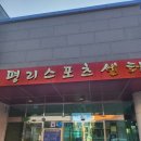 평리스포츠센터 산들수영장 대구점 이미지