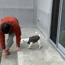 호진펜션 이미지