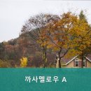 까사멜로우A
