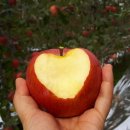 박정미농장 이미지