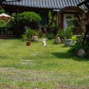 한옥과편백의 만남 이미지