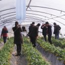 효자농장 이미지