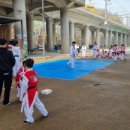 금빛호수 태권도 이미지