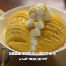 동판교로52번길 | 올여름 빙수 맛집은 여기! 분당 디저트 카페 아이와 백금당 판교 후기