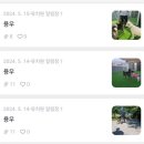 스테이영 애견학교 | 수원 스테이영 2박3일 유치원&amp;호텔링 후기 / 진돗개 훈련소 추천❣️
