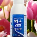 행복해지네