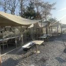 스마트애견 | 세종 바베큐장 애견동반 가능한 노릇노릇 후기, 캠핑 감성 제대로