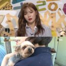 현아농장 이미지