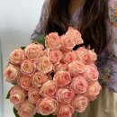 수피아플라워 이미지