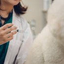 우성축산 이미지