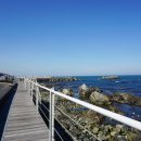 울산종합관광안내소 이미지