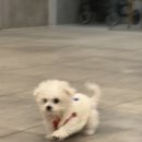 척척 동물의료센터 이미지