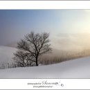 기상목장 이미지