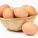 우리계란마트 이미지