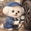 굿데이오지