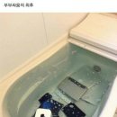 보배농장 이미지