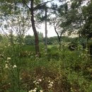 의료법인 동인의료재단 이미지