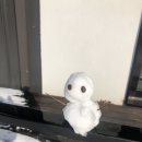 라온농장 네이버블로그