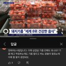 돼지와 건강 이미지