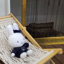 와이케이에프 동행미디어 시대