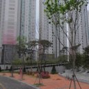 논고개로 이미지