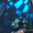 유영목장 연합뉴스