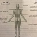 쏘에르필라테스