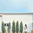 OJE 오늘도제주 이미지