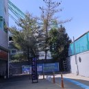 동윤주유소 이미지