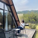 퍼즈 | 대구근교글램핑 감성가득 청도 퍼즈글램핑 내돈내산 솔직 후기