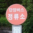 죽령 옛길을 버스로 지나가기 이미지