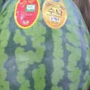 주미 농장 이미지