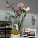 시논인터네셔널 이미지